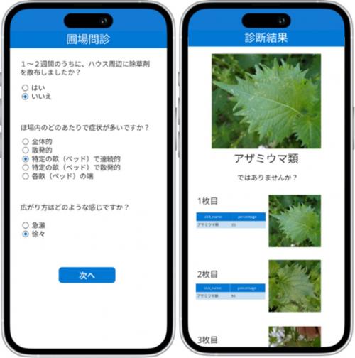 AI病害虫診断技術を組み込んだ診断アプリケーション