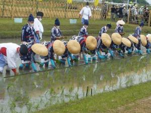 岡崎市　六ッ美悠紀斉田お田植えまつり