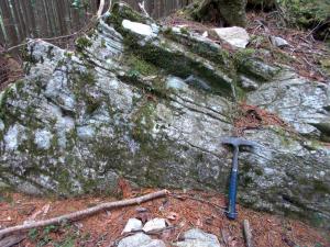 珪質片麻岩の写真