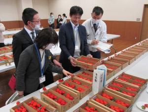 昨年度の審査風景