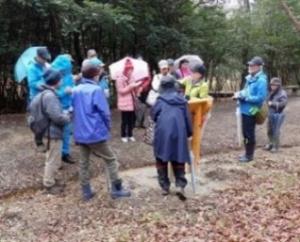 道草ウォーキング