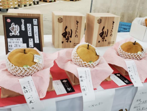ジャンボ梨コンテストの上位入賞した梨が並べられている