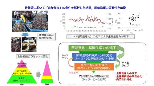 成果の概要のイメージ図