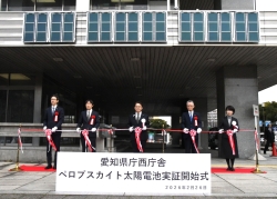 0225-3 ペロブスカイト