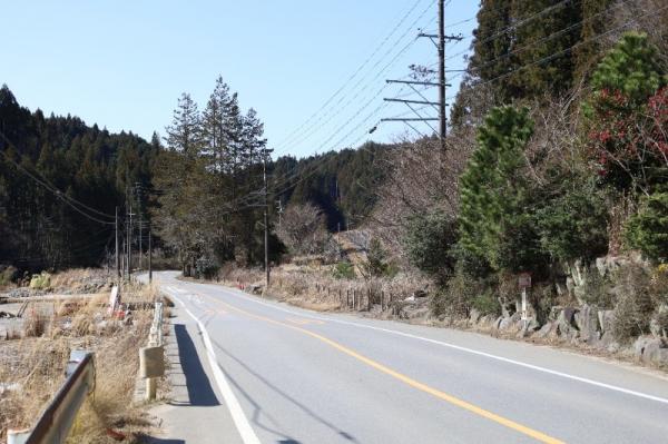 八ツ橋バス停付近2026