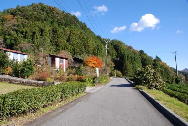 大名倉の町道より2010