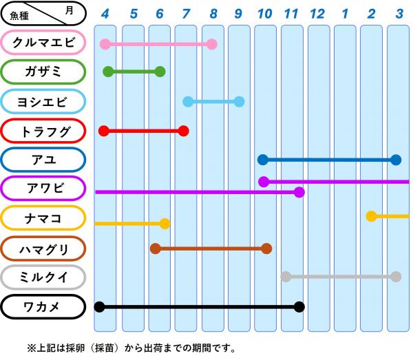 種苗生産の年間スケジュールの図