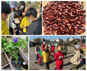 取組写真（ＮＰＯ法人かきつ畑）