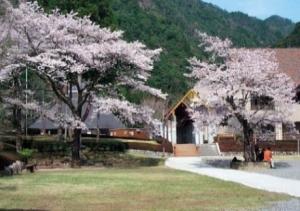 モリトピア愛知桜