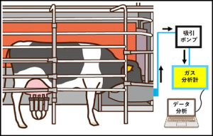 牛のげっぷ由来のメタンガス測定方法（イメージ図）