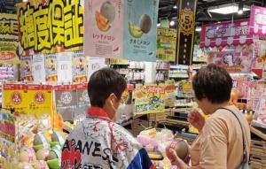 2025年度の実施状況(香港)