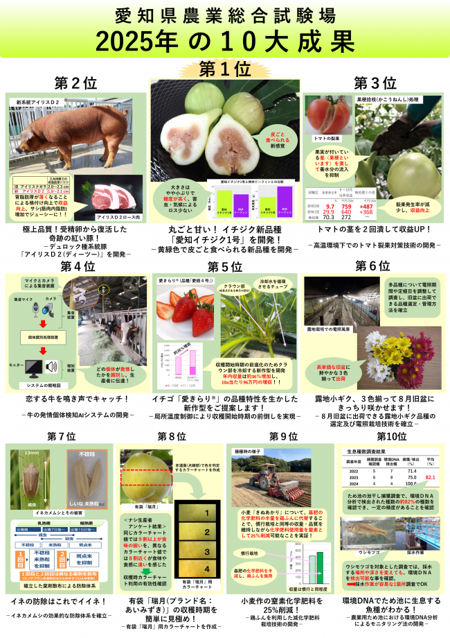 2025年10大成果