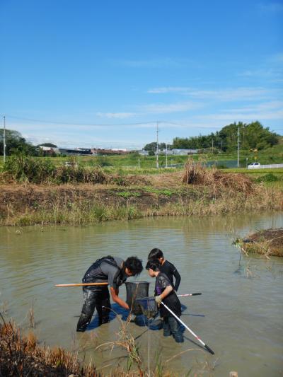 みんなで生き物調査