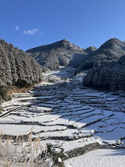 雪の翌朝