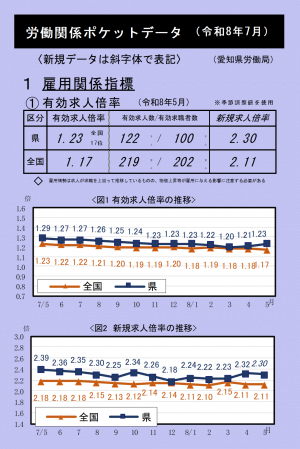 令和8年7月ポケットデータ
