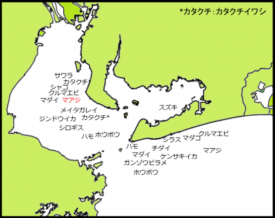 2026年8月上旬の漁場図