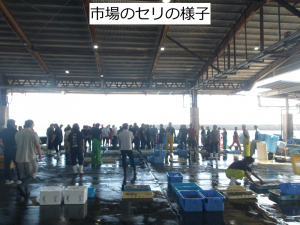 市場のセリの様子