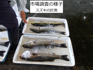 市場調査の様子