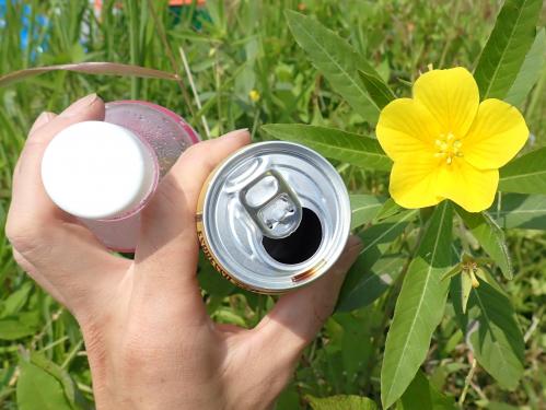 オオバナミズキンバイ花の大きさ