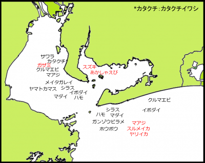 2026年9月上旬の漁模様
