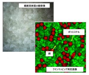 ラマン分光法による繊維混用率の測定