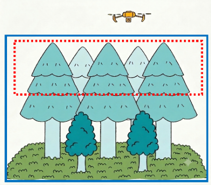 森林計測・解析のイメージ