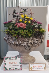 01 あいちの花