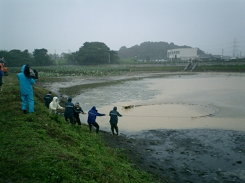 池の魚採取