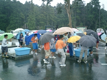 池の生物