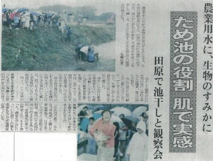 池の魚に触れる