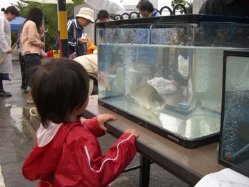 観察会1