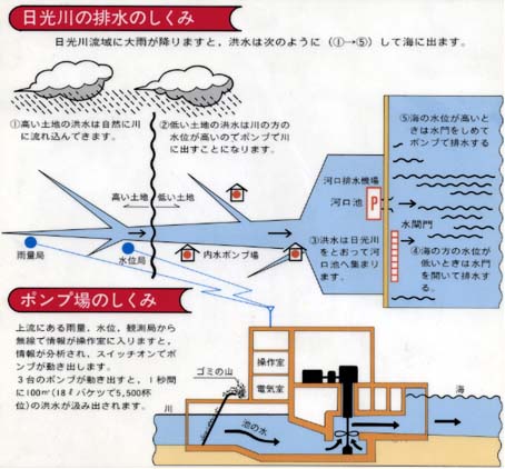 ポンプ 仕組み 排水