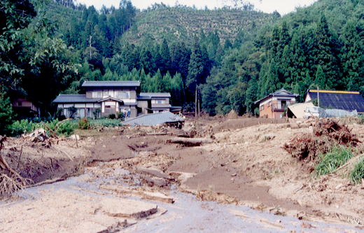 豊田市浅谷町地内　中屋洞の状況