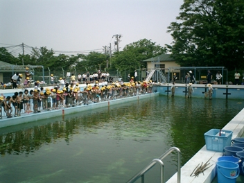 プール1