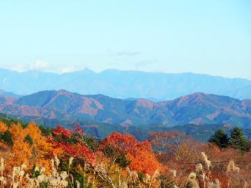 紅葉写真