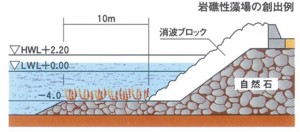 岩礁性藻場の創出例