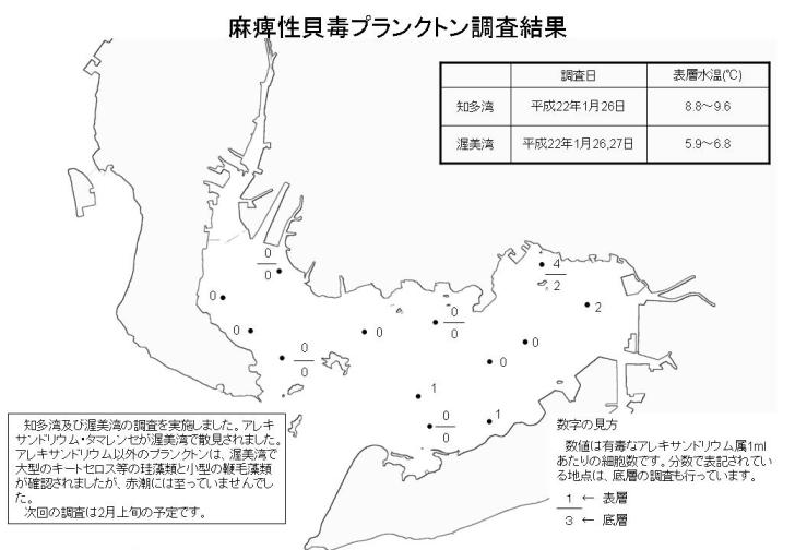 麻痺性貝毒プランクトン調査結果（平成22年1月28日）