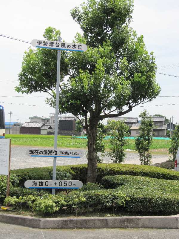 地面の高さを表す看板です。