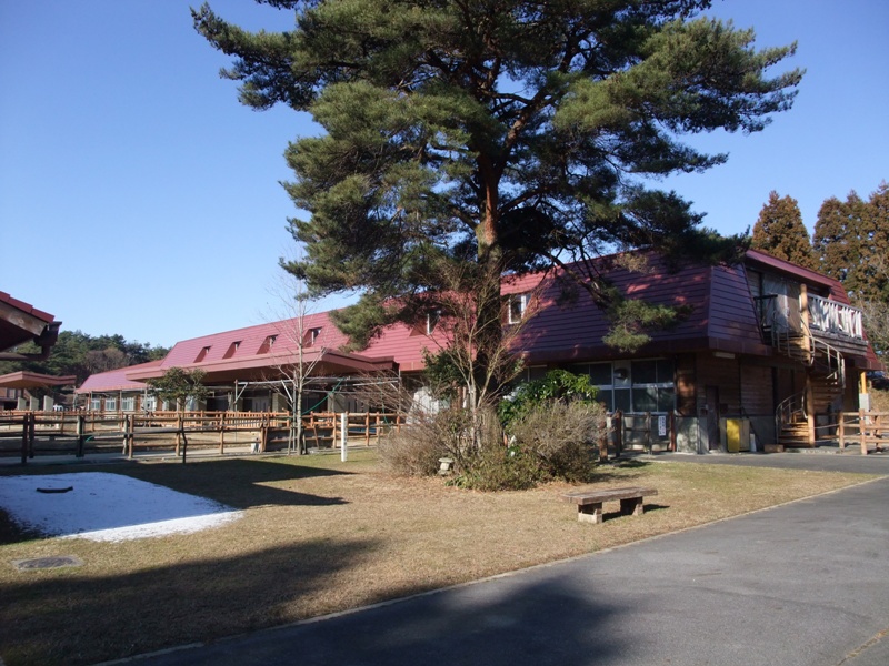 三河高原牧場牛舎の画像