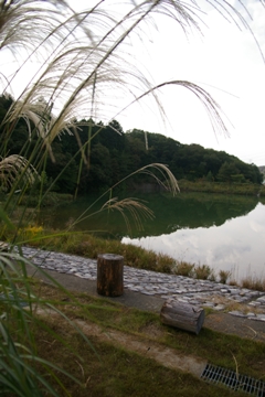 里山盛秋