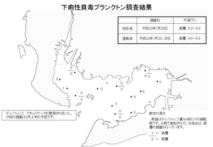 下痢性貝毒プランクトン調査結果（平成23年1月27日）