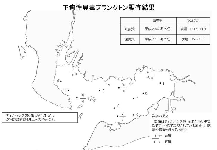 下痢性貝毒プランクトン調査結果（平成23年3月22日）