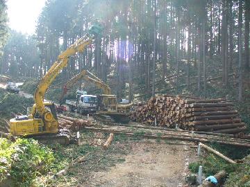 林道の整備で機械化作業を推進