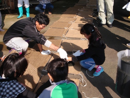 地元小学生と一緒にアマモの種まき　画像