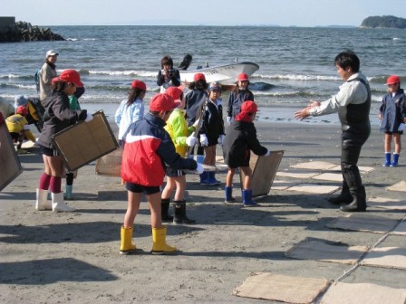 地元小学生と一緒にアマモの種まき　画像