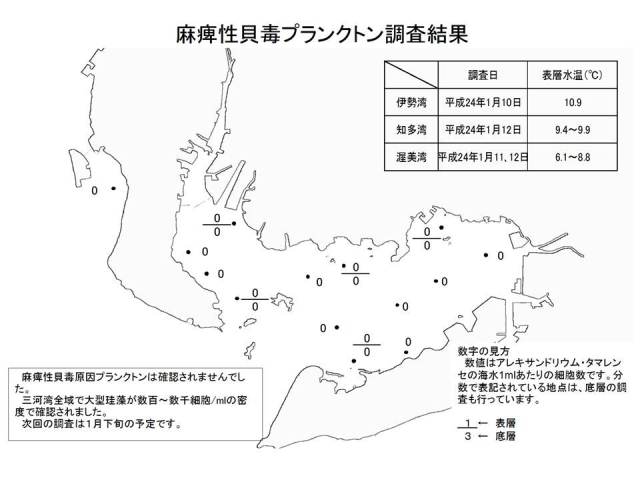 麻痺性貝毒原因プランクトン調査結果（平成24年1月13日） 