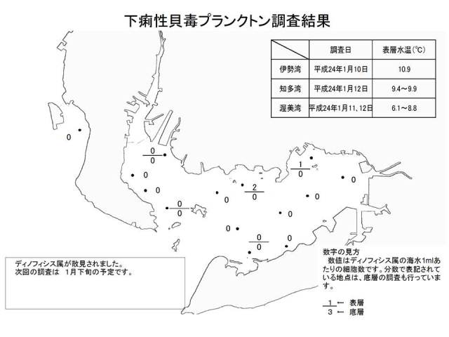 下痢性貝毒原因プランクトン調査結果（平成24年1月13日） 