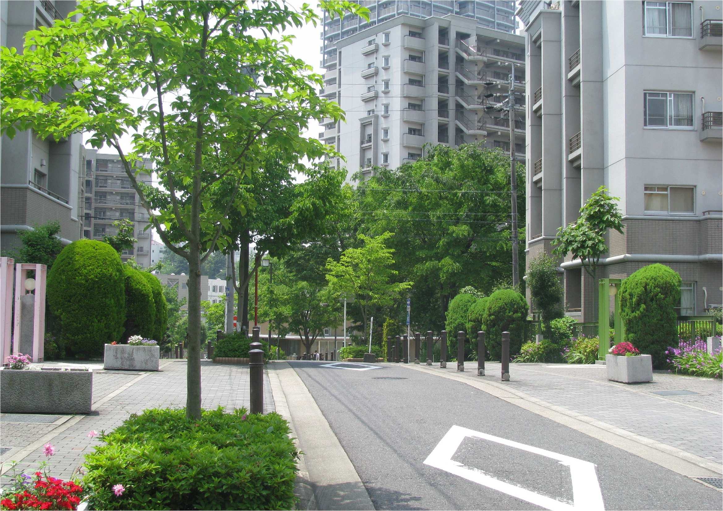 街路樹(名古屋市)