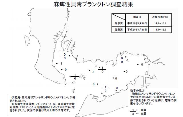 麻痺性貝毒原因プランクトン調査結果（平成24年4月18日） 