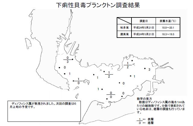 下痢性貝毒原因プランクトン調査結果（平成24年5月21日） 